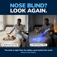 Whole Home Kit - Celani